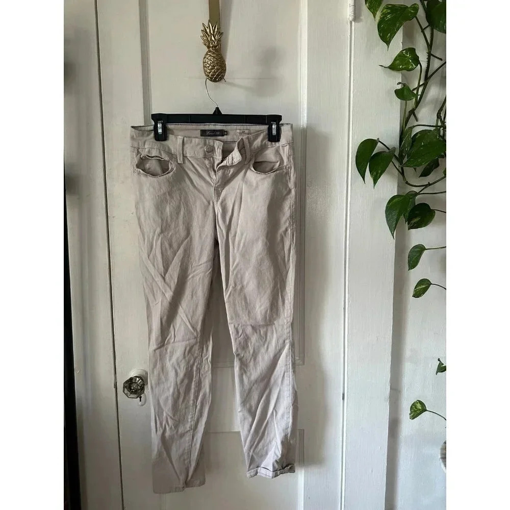 Level 99 Women’s size 28 Lily Skinny Straight pants